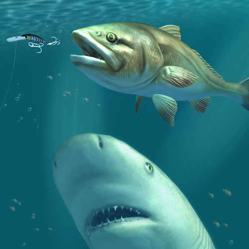 Rapala Fishing - Daily Catch